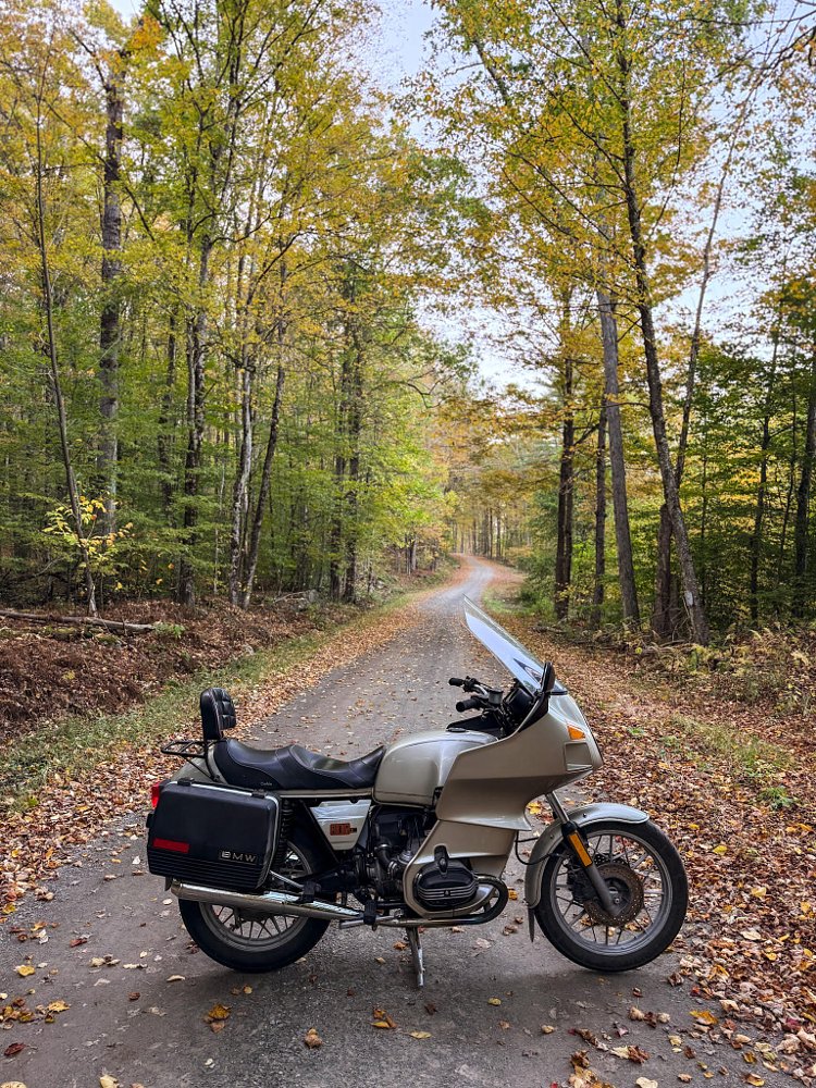 gold-colored BMW R80RT touring motorcycle on a country lane in fall with trees full of yellow leaves