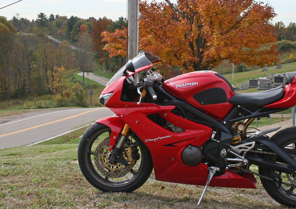 fall colors