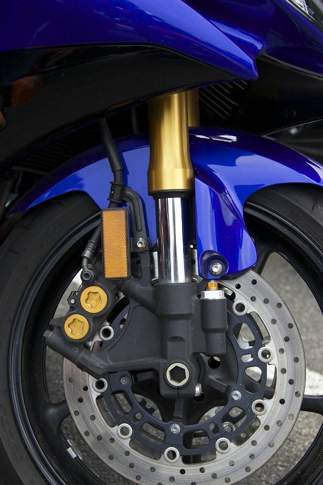 anodized fork leg
