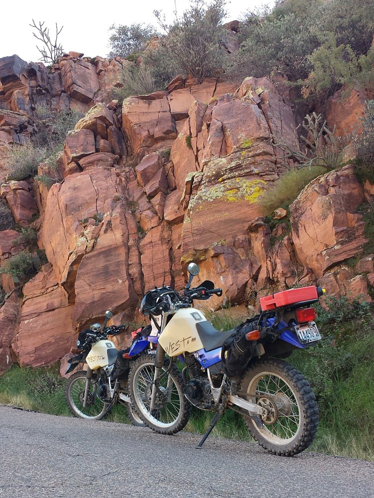 Tonto National Forest