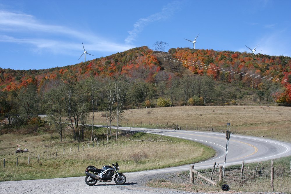 Route 42
