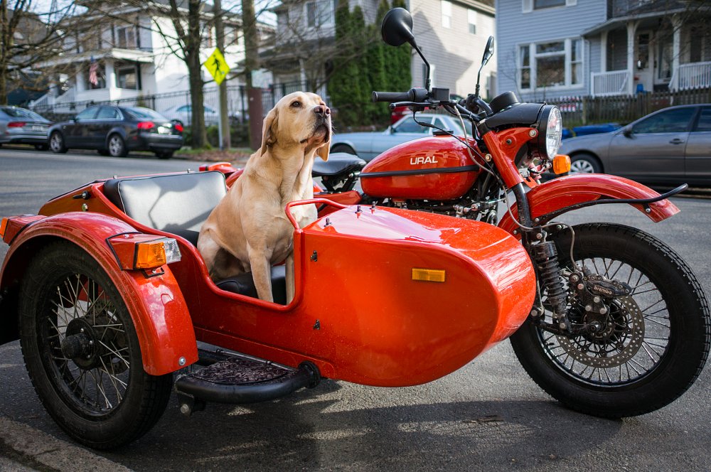 2015 Ural cT