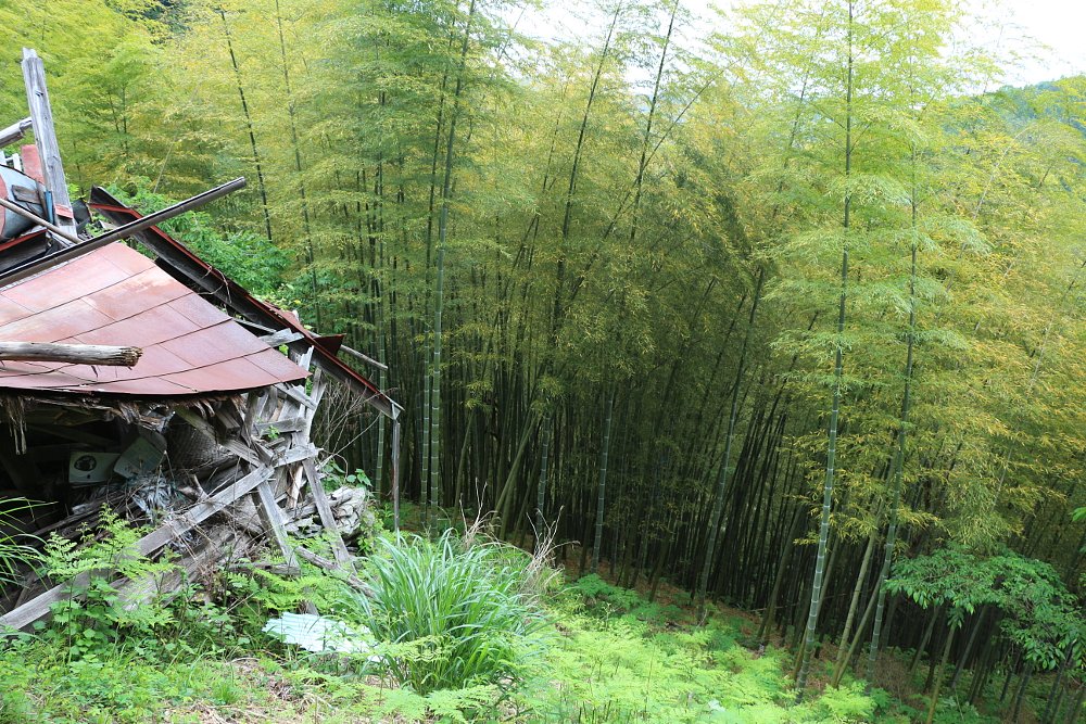 abandoned building