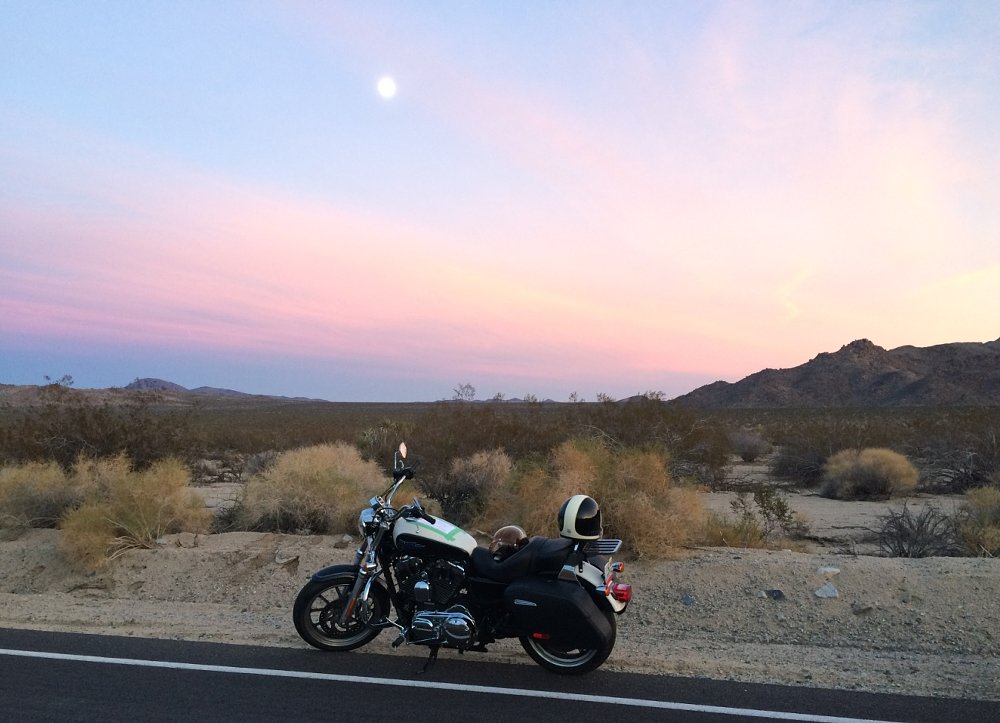 Joshua Tree