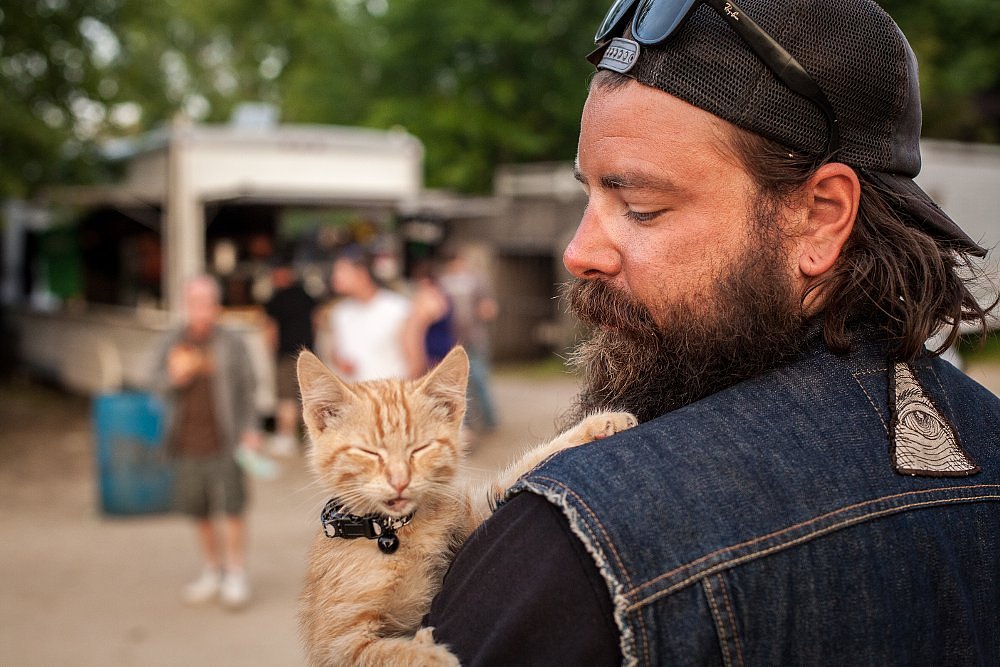 Pat and Party Cat