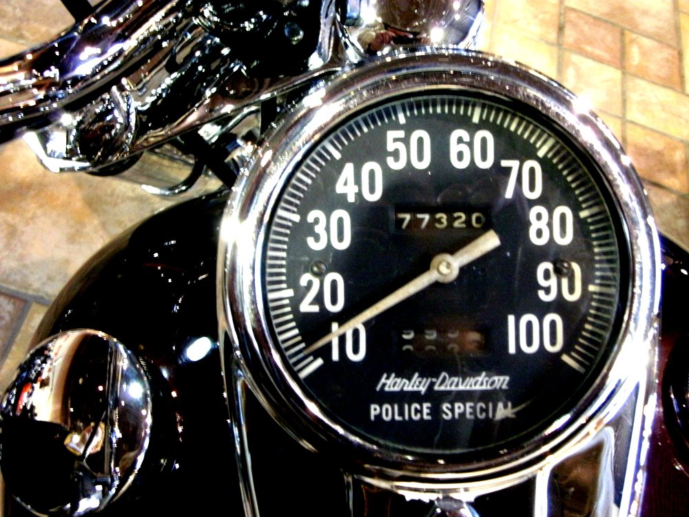 Speedo