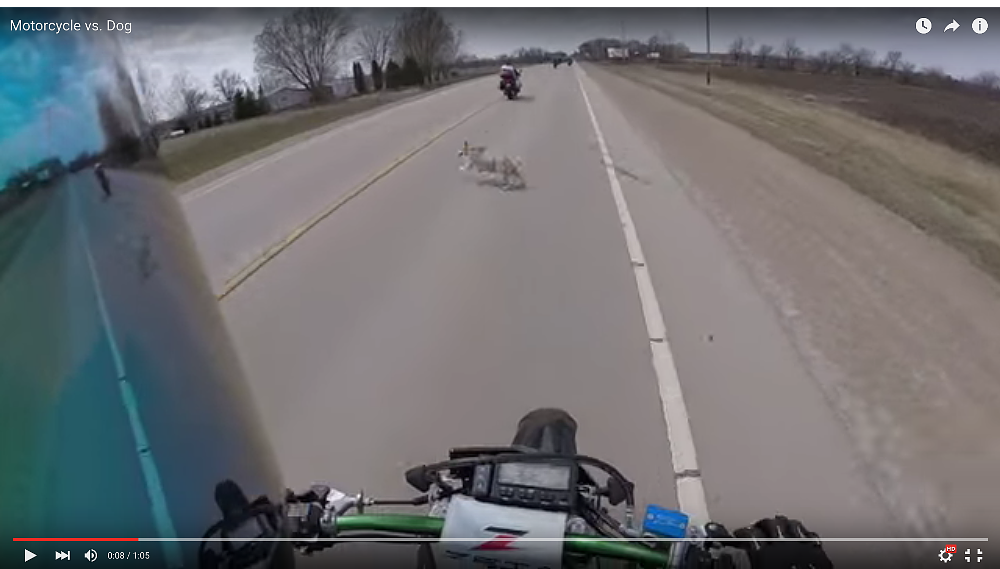 crash video