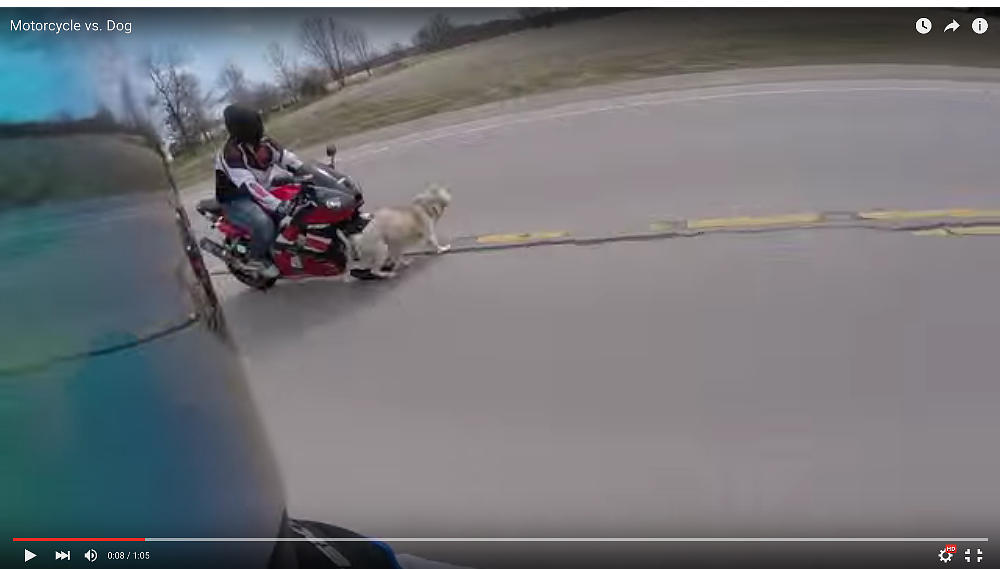 crash video