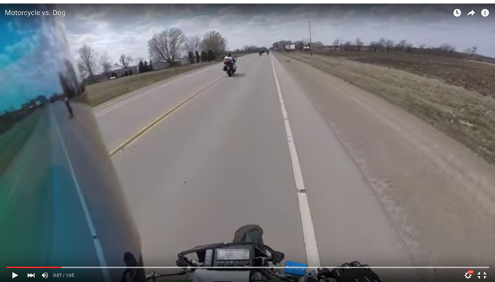 crash video