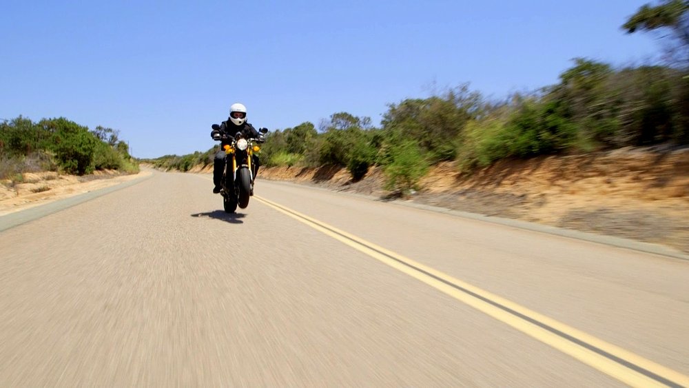 Dank Whoolies