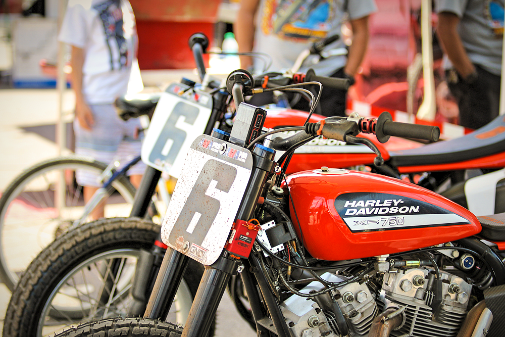 Brad Baker's flat track racers