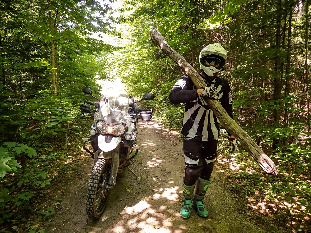 Steve Kamrad Triumph Tiger 800 XCx