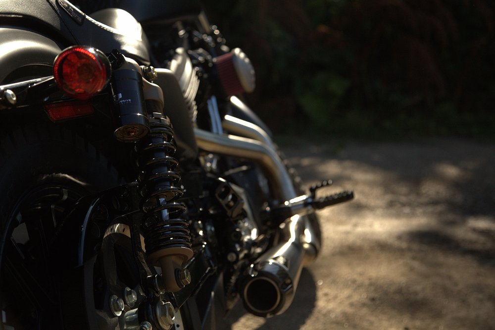Sporty shocks.