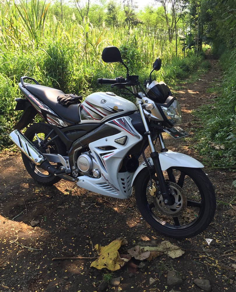 trail in East Java