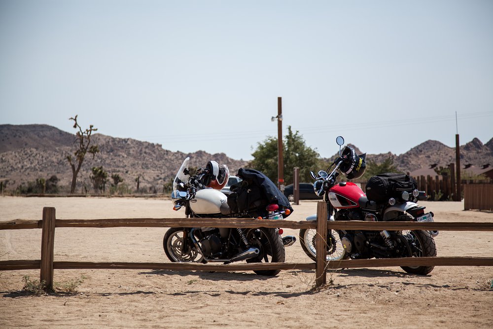 Yamaha SCR950 and Triumph Bonneville