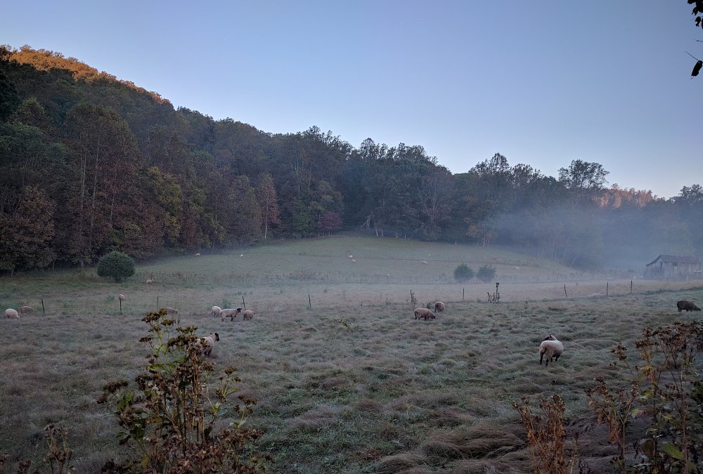 dawn