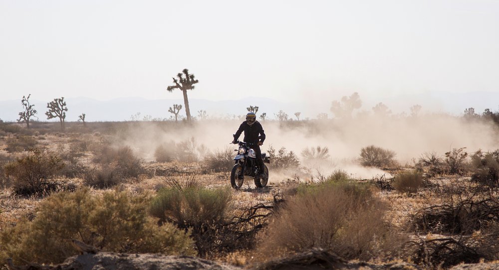 Ducati Scrambler Desert Sled