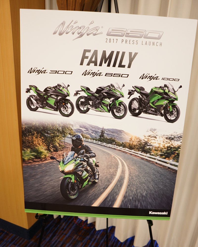 Ninja family poster