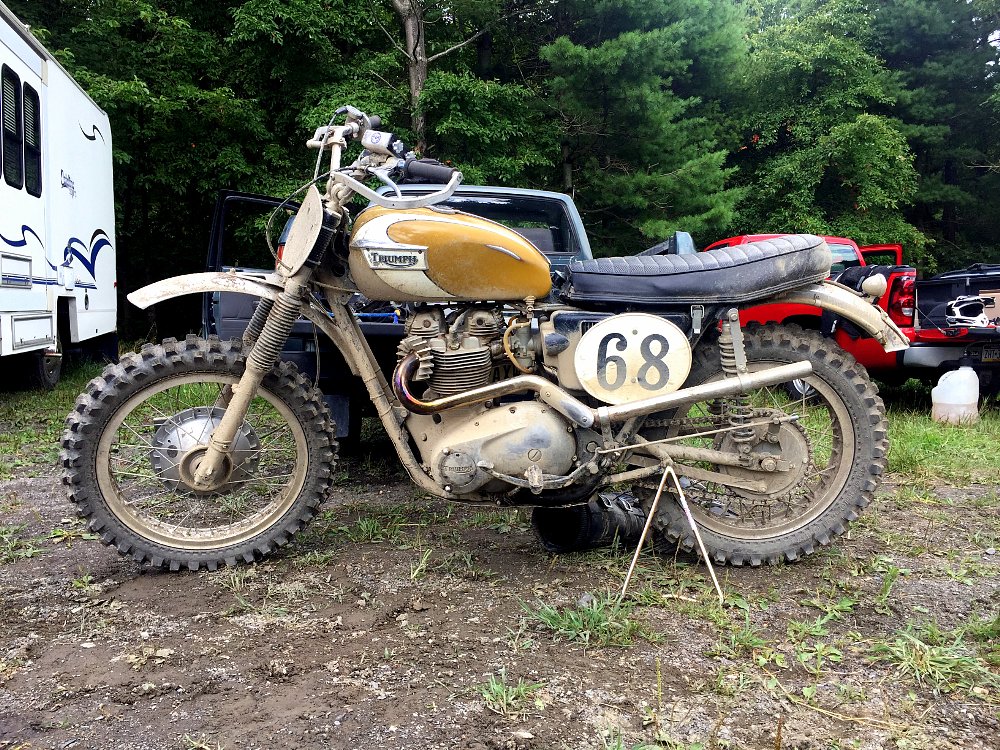 Joe's Triumph