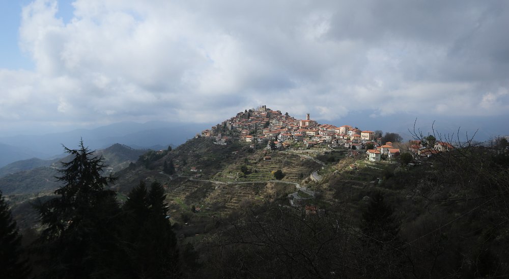 Bajardo