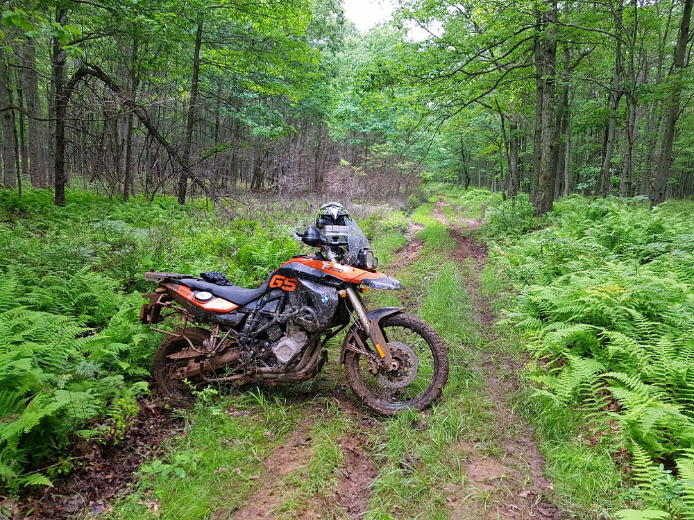 Muddy bike