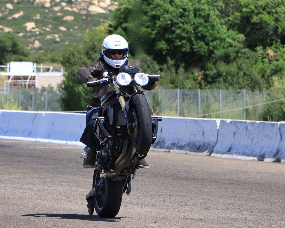 Wheelie U.