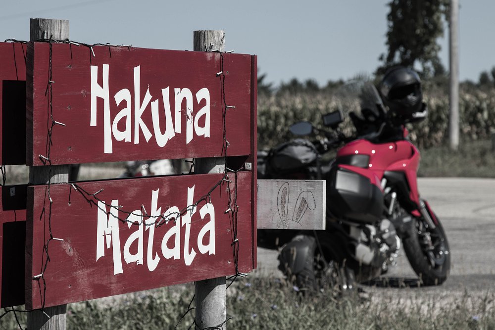 Hakuna matata!