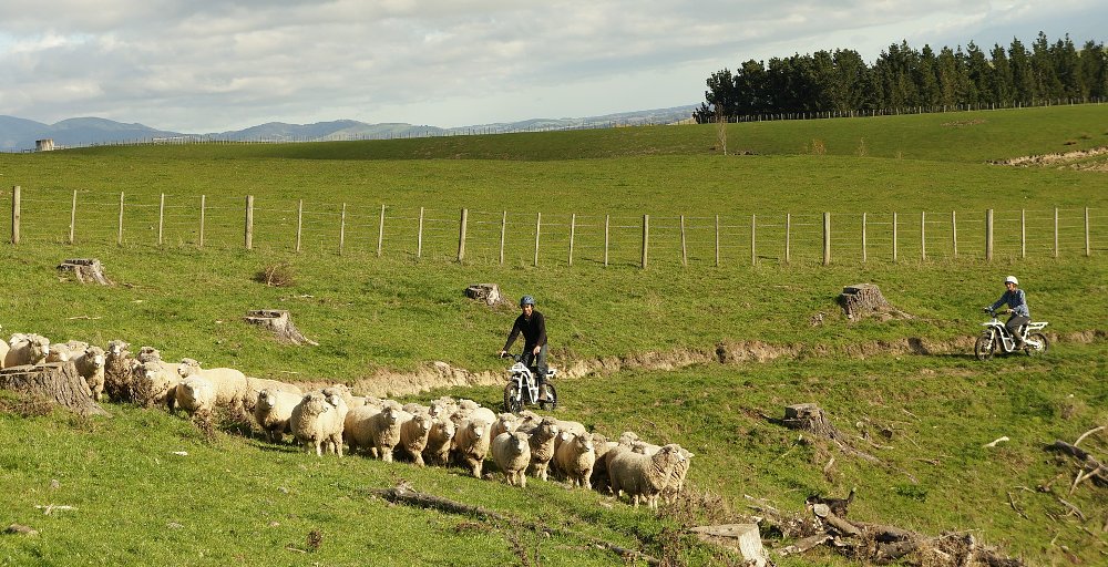 Ubco 2x2 in New Zealand