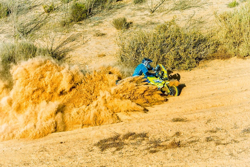 Roost
