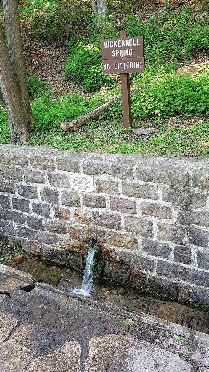 No littering