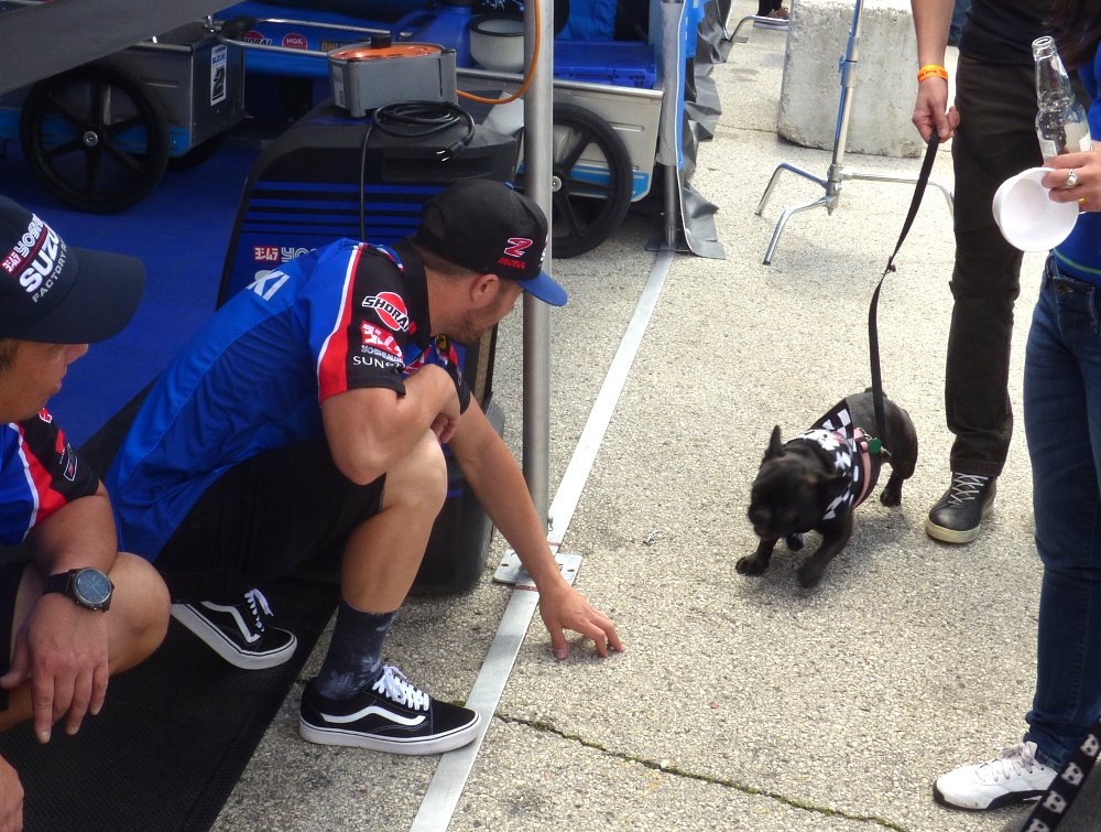 Herrin and dog
