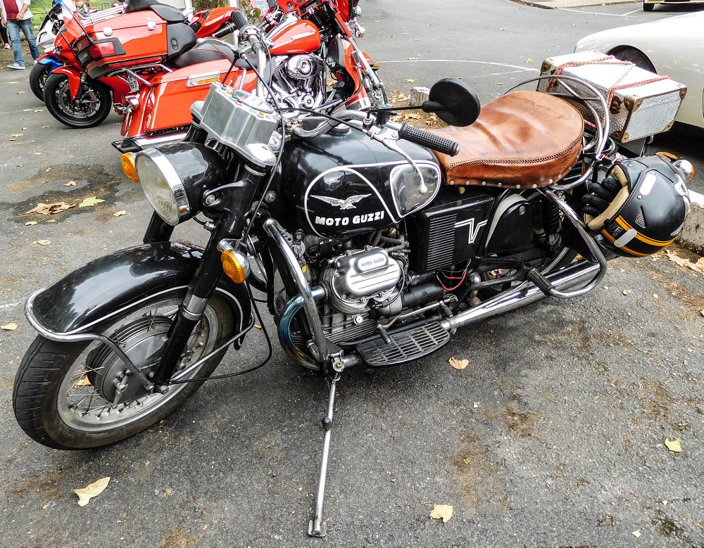 Guzzi