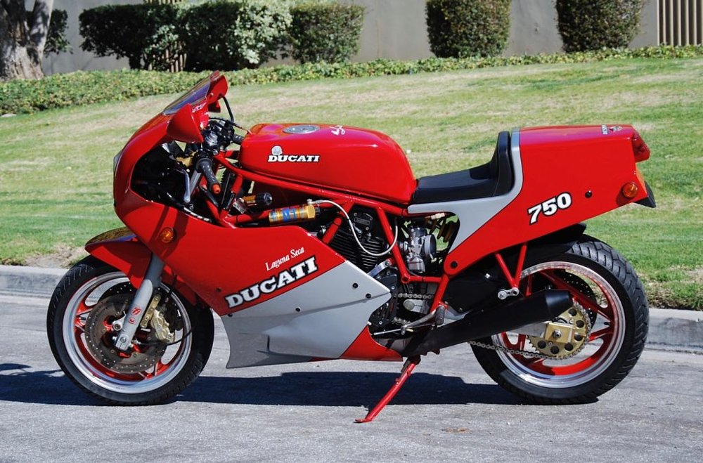 Duc