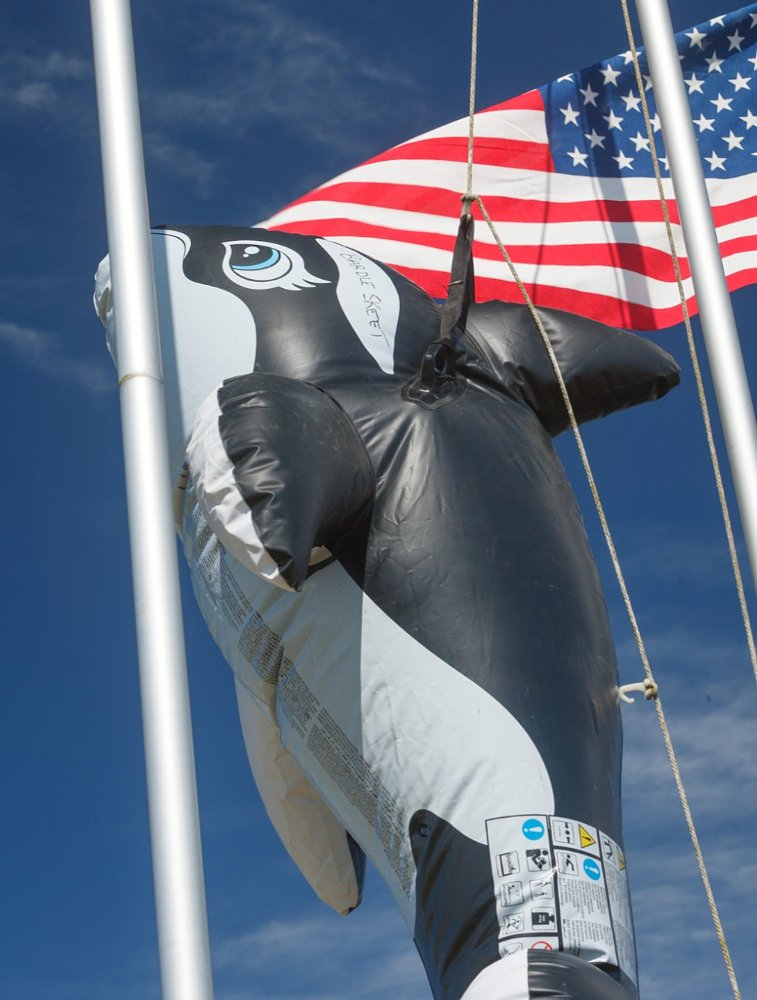 Bol d'Oregon mascot