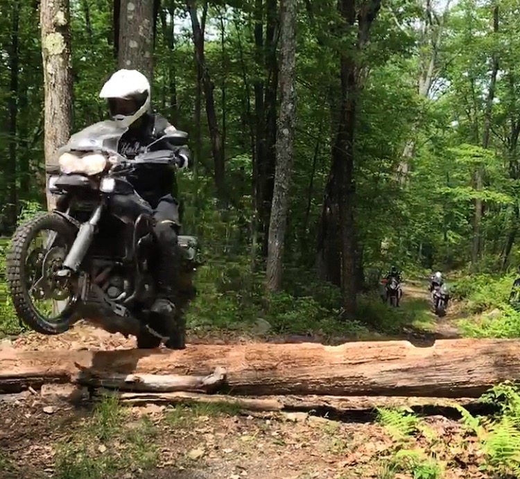 Joe Zito Triumph Tiger 800
