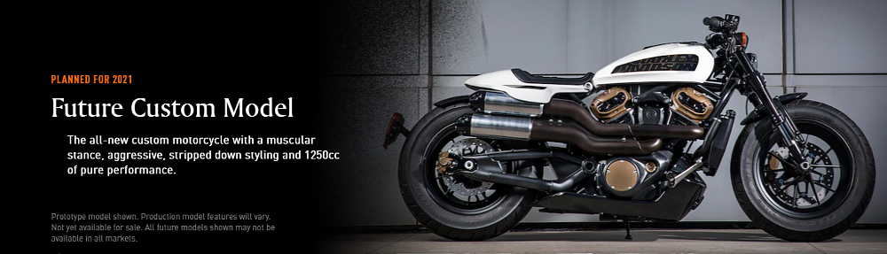 Harley-Davidson future custom model