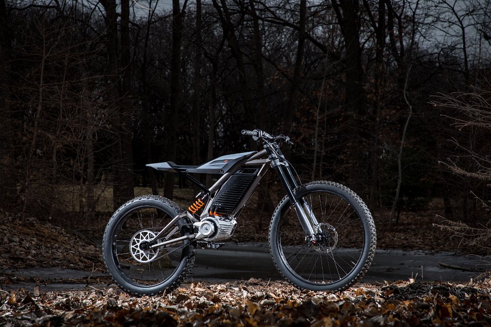 Harley-Davidson light EV concept