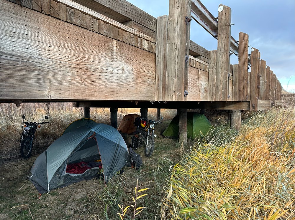 Bikes and tents under a bridge. 