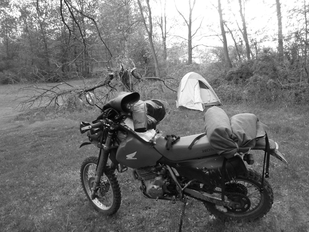 Honda XR650L