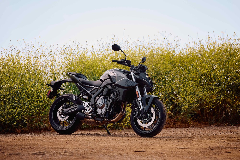 2023 Suzuki GSX-8S parked next to a wall of yellow wildflowers.