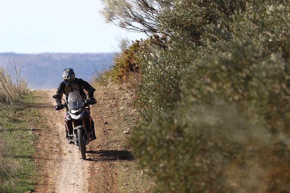 riding the Triumph Tiger 900 Rally Pro on a single-track trail