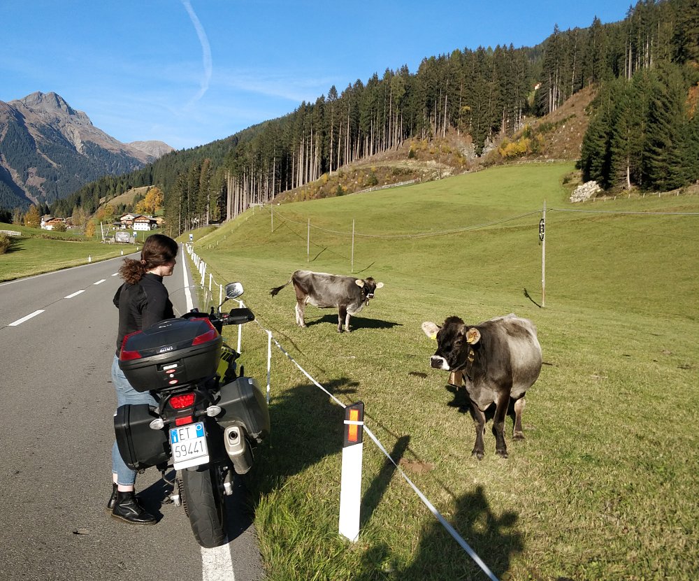 Viana at roadside in the mountains with her rental motorcycle and a few cows on the other side of the fence
