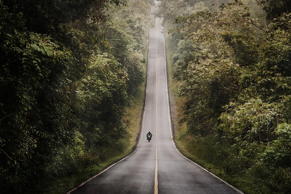 A lone rider travels a backroad in a heavily forested area. 