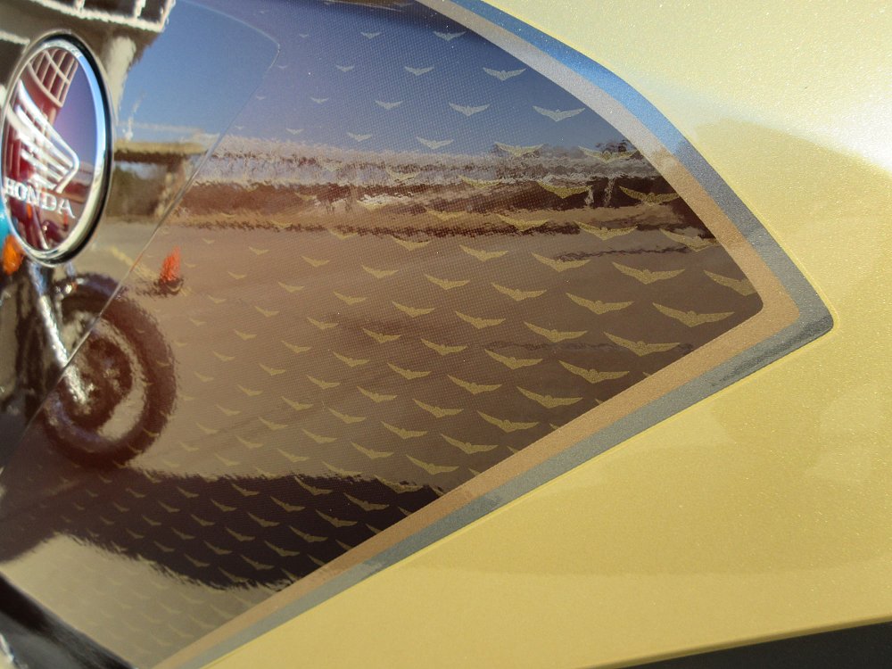 closeup photo showing gold-colored Gold Wing logos in the brown paint on the motorcycle's fairing