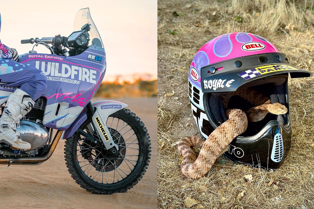 close view of the purple livery on the motorcycle and a view of the custom-painted matching helmet with a snake coiled in it